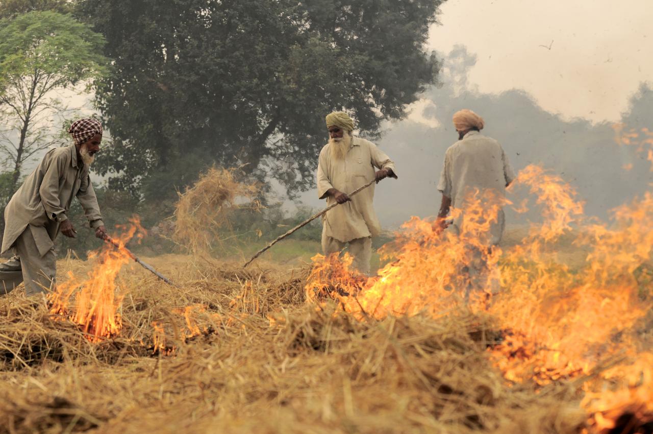 भारत में किसान धान की फसल लेने के बाद पराली को इस तरह जलाते हैं। इसकी वजह से भी प्रदूषण में काफी बढ़ोतरी होती है। फोटो- नील पाल्मर (सीआईएटी)/ विकिमीडिया कॉमन्स
