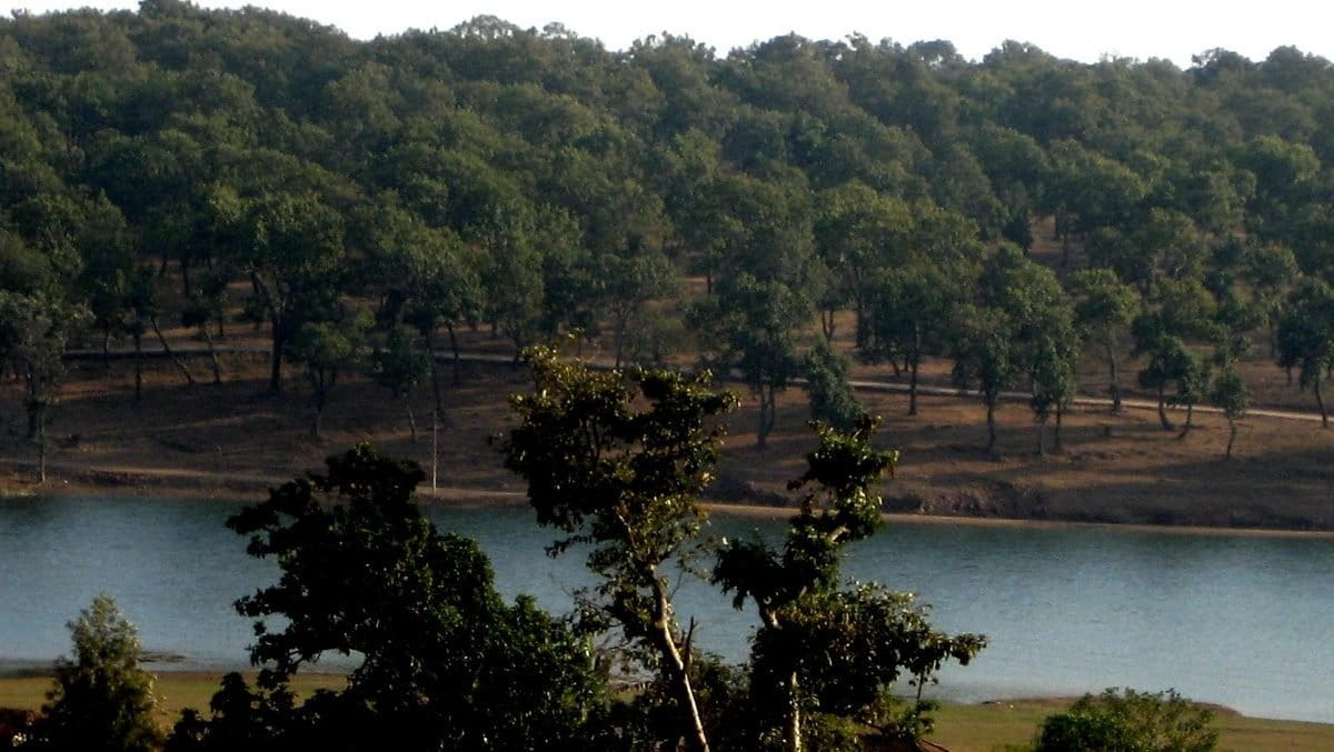 अमरकंटक में जंगलों के बीच से गुजरती नर्मदा। यहां जंगल से निकली छोटी-छोटी जलधाराएं नर्मदा को विशाल बनाती जाती है। तस्वीर- अजय ताव/फ्लिकर