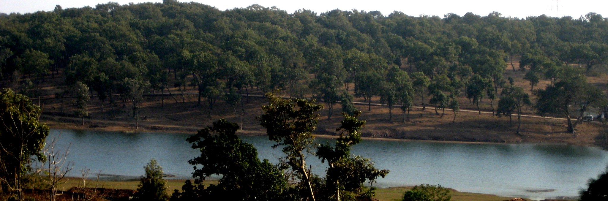अमरकंटक में जंगलों के बीच से गुजरती नर्मदा। यहां जंगल से निकली छोटी-छोटी जलधाराएं नर्मदा को विशाल बनाती जाती है। तस्वीर- अजय ताव/फ्लिकर