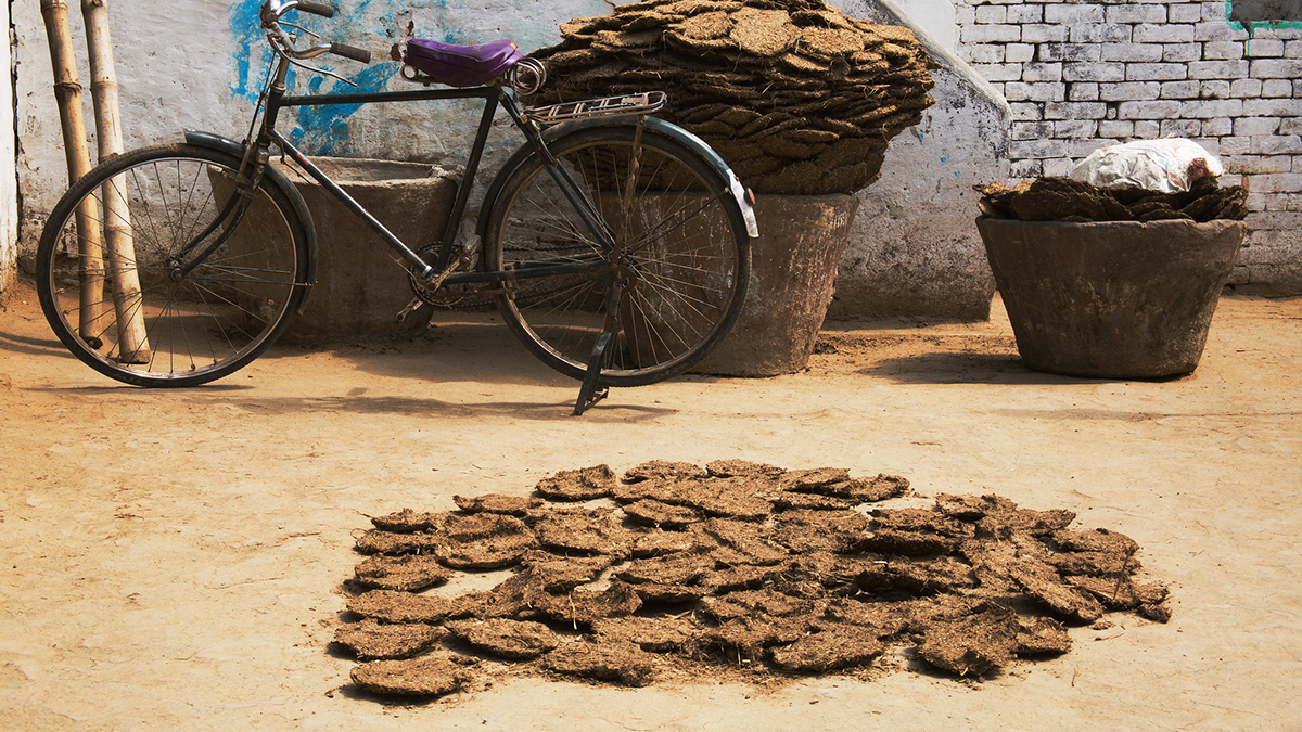 बिहार: अक्षय ऊर्जा के क्षेत्र में भी साबित हो रहा रुकतापुर, 4 साल में महज 0.5 प्रतिशत लक्ष्य हुआ हासिल