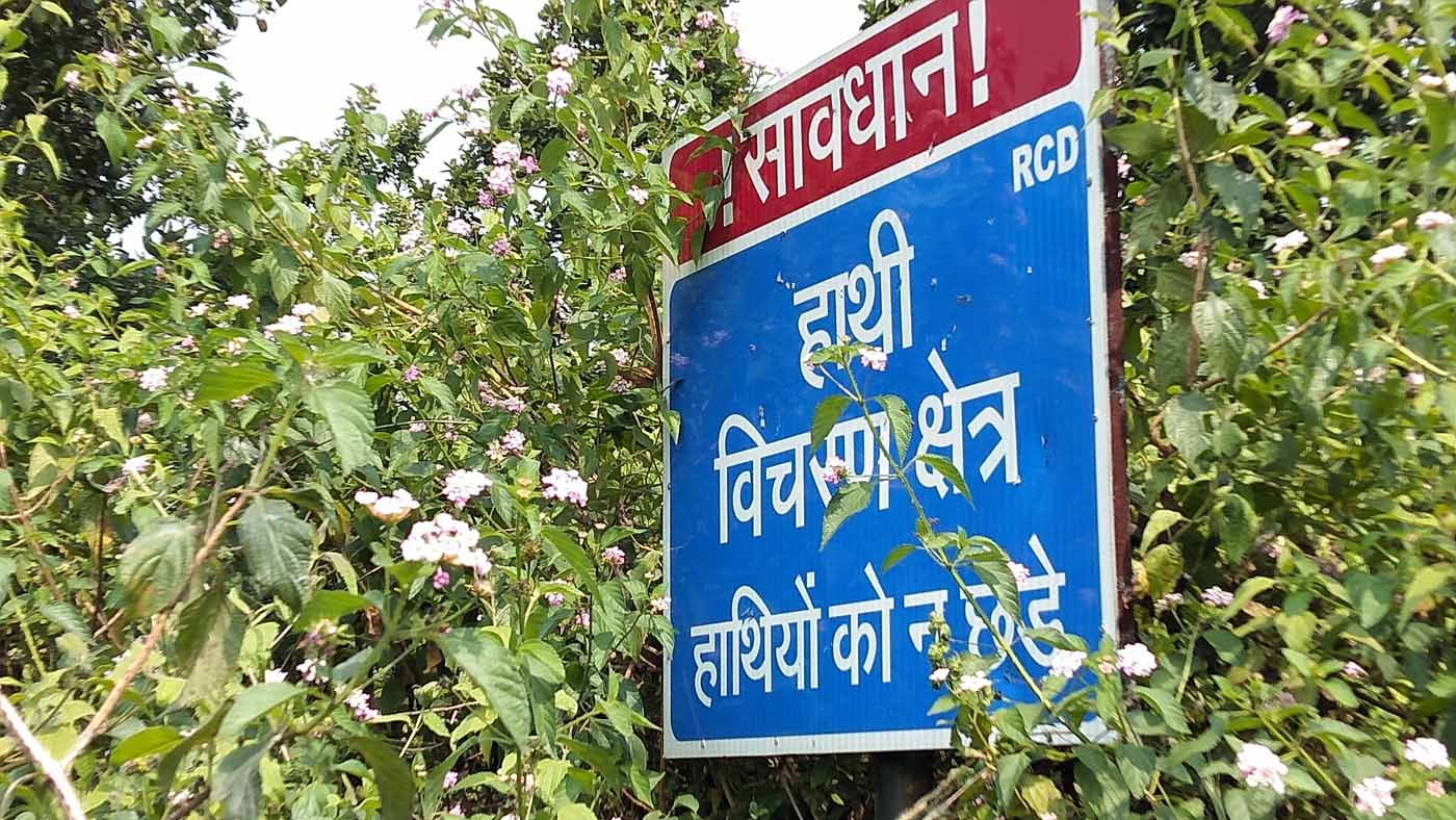 रांची और रामगढ जिले के बीच सिकदिरी घाटी में सड़क किनारे ऐसे बोर्ड लगे हुए हैं। तस्वीर- राहुल सिंह