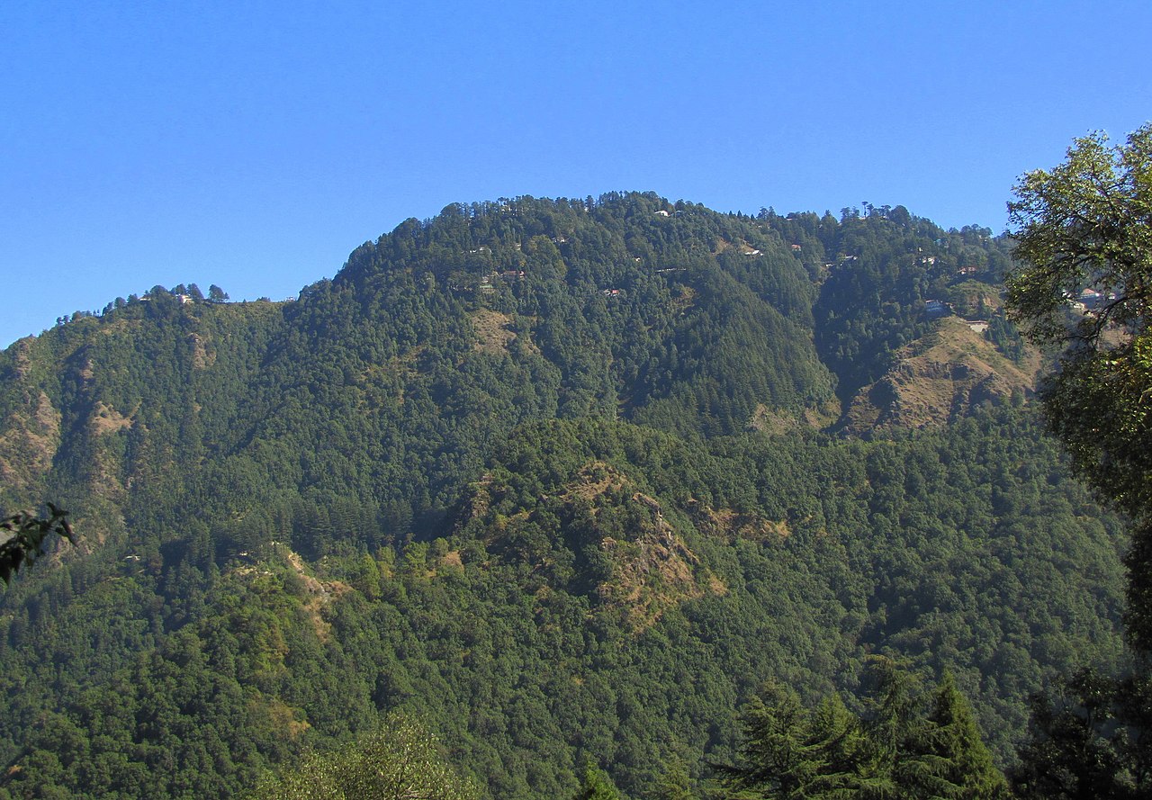 ईज ऑफ डूइंग बिजनेस या कहें व्यवसाय को आसान बनाने की प्रक्रिया में राजग सरकार पर्यावरण नियमों को लगातार कमजोर करती रही है। इससे जंगलों को नुकसान हो रहा है। तस्वीर-पॉल हैमिल्टन/विकिमीडिया कॉमन्स