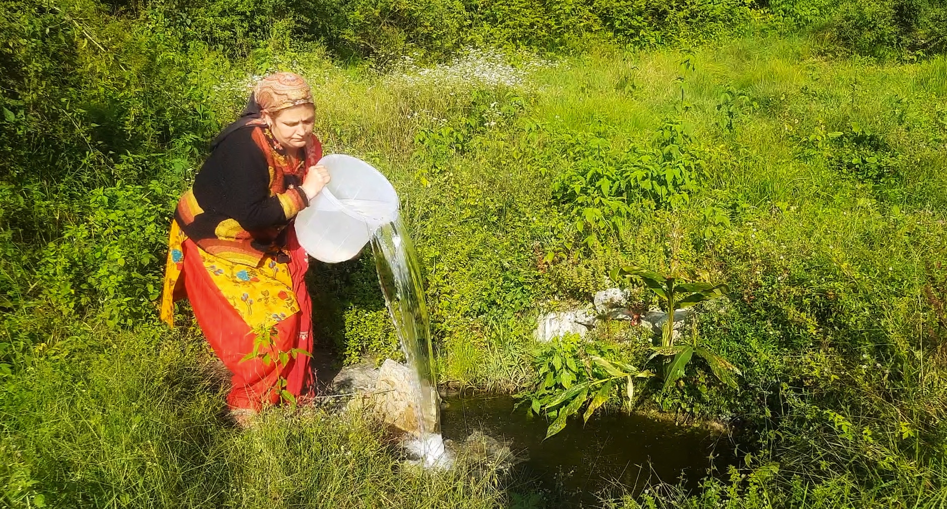 देश का 30% भौगोलिक क्षेत्र संरक्षित करने के लिए अब निजी प्रयासों से जैव-विविधता समृद्ध क्षेत्र चिन्हित किए जा रहे हैं। तस्वीर- वर्षा सिंह