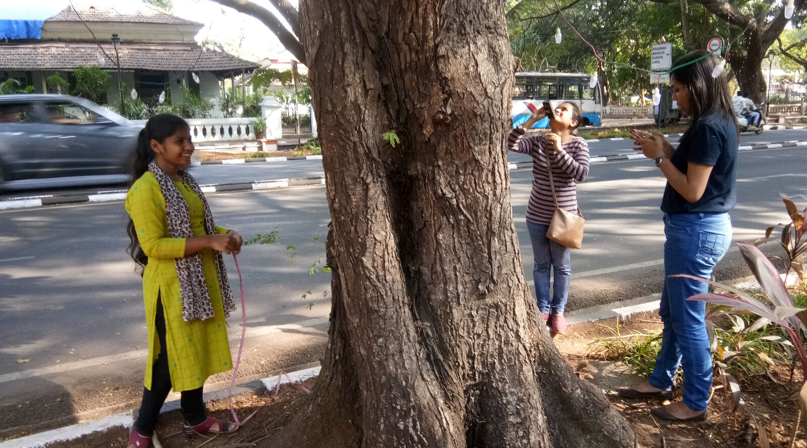 गोवा के पंजिम में एक पेड़ को मापते शोधकर्ता। तस्वीर: नंदिनी वेल्हो।