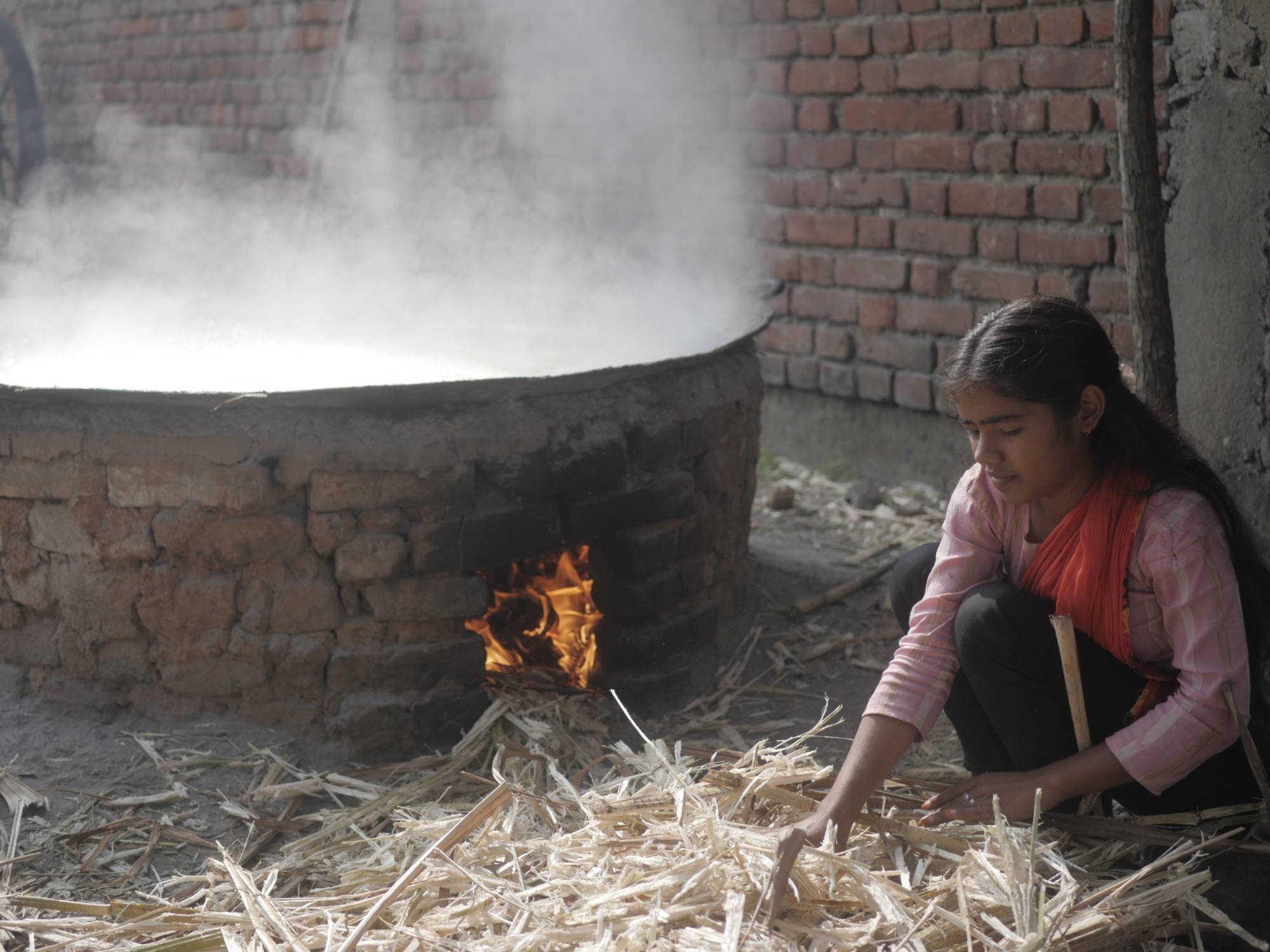 रस निकलने के बाद गन्ने की खोई का इस्तेमाल रस को गर्म करने के लिए क्या जाता है। तस्वीर- विमल राय