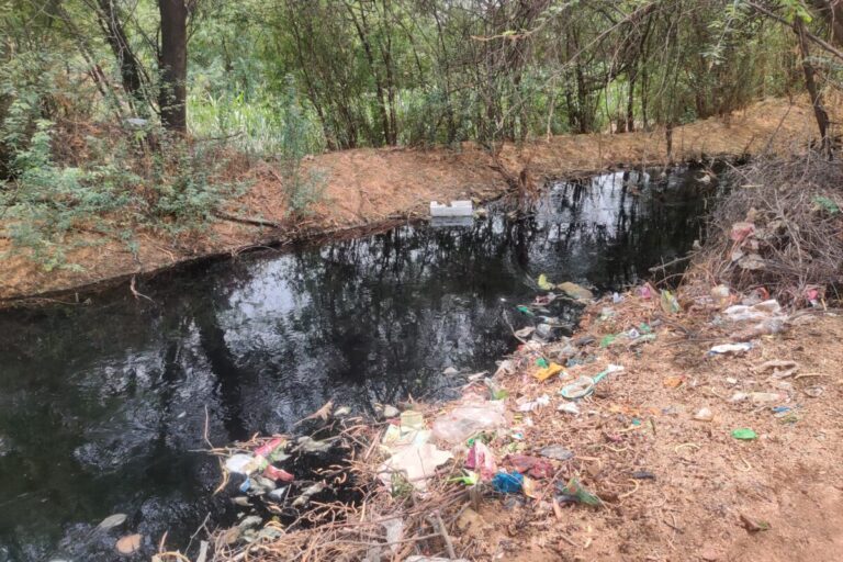 डोली-राजगुरु में मिरगा देवी के घर के ठीक सामने से गुजरता जोजड़ी का गंदा पानी। –विशाल कुमार जैन\मोंगाबे।