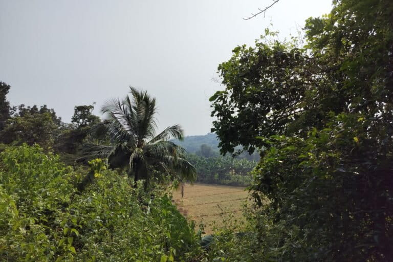लोलीयेम की ढलानों के तलहटी पर स्थित खाजन भूमि। तस्वीर: सिमरिन सिरूर द्वारा।