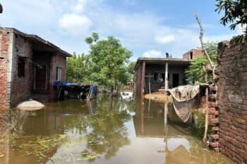 पंजाब के फाज़िल्का जिले में बाढ़ में डूबा एक घर। 1988 के बाद से आई सबसे भीषण बाढ़ में राज्य के 1,900 गाँव जलमग्न हो गए, 51 लोगों की जान चली गई, 4,00,000 एकड़ फसलें बर्बाद हो गईं, 3,84,000 लोग प्रभावित हुए, और शहर अपने ही घरों और उद्योगों से निकलने वाले गंदे पानी में डूब रहे हैं। तस्वीर -सुखजिंदर महेसरी।