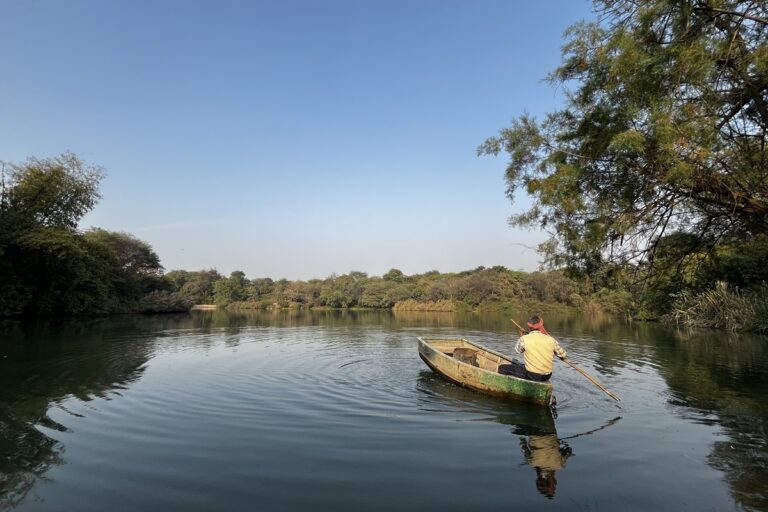 नीला हौज़ बायोडायवर्सिटी पार्क, संजय वन के पास एक पुनर्स्थापित आर्द्रभूमि, प्रवासी पक्षियों के लिए एक शानदार आवास के रूप में कार्य करता है। तस्वीर: निधि जामवाल।