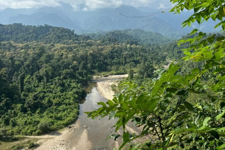 काकोई का यह जंगल उत्तरी लखीमपुर जिले के दो अन्य आरक्षित वनों, रंगा और दुलुंग से जुड़ा हुआ है। काकोई में मार्बल कैट की मौजूदगी दर्शाती है कि इस ज़िले के जंगलों की सेहत अच्छी है। तस्वीर - अभिजीत कोंवर।