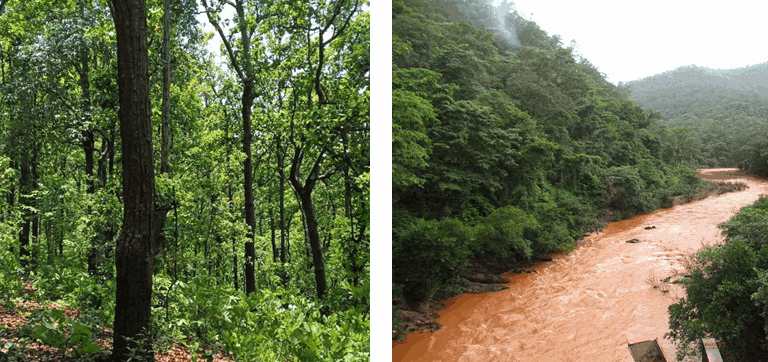 सारंडा की जीवनरेखा कोइना नदी। खनन की वजह से कोइना नदी का बड़ा हिस्सा प्रदूषित हो चुका है। तस्वीर सौजन्य –आरके सिंह।