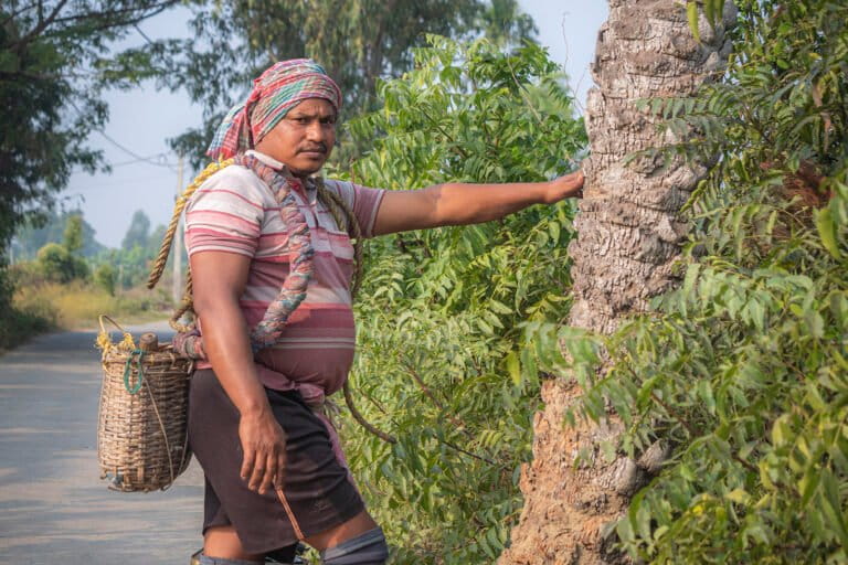 पूर्ब मेदिनीपुर के बगुरान जलपाई गांव के अजय शीट जो शिवली हैं। शिवली ऐसे लोगों को कहा जाता है जो खजूर के पेड़ से रस जमा करके उससे गुड़ बनाने का काम करते हैं। अब शिवली की संख्या भी घट रही है। तस्वीर – विमल राय/मोगाबे