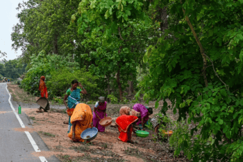 छत्तीसगढ़ के वन क्षेत्र में महिलाएं लघु वनोपज इकट्ठा करती हुईं। राज्य में महुआ, इमली, साल बीज, हर्रा और बहेड़ा जैसी वनोपज कई आदिवासी परिवारों की नकद आय का अहम स्रोत हैं। तस्वीर: आलोक प्रकाश पुतुल।