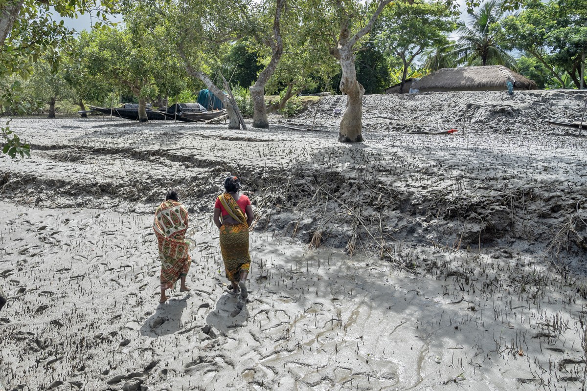 সাতজেলিয়া দ্বীপের সুভদ্রা সান্যাল ও গীতা মণ্ডল বাঘের আক্রমণে স্বামী হারিয়েছেন। গীতা এখনও মাছ ধরার জন্য বনে গেলেও, ভয় কাটিয়ে আর বনে যেতে পারেন না সুভদ্রা। ছবি: কার্তিক চন্দ্রমৌলি/মঙ্গাবে